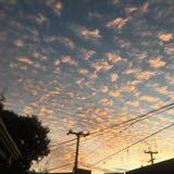 (Category: ) located in . Submitted by lv121811 (Listing ID 1467603180, Image 1). Description: .