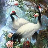 由 startala20 (刊登 ID 1326565247，圖片 1) 提交，位於 的 (類別：)，說明：。