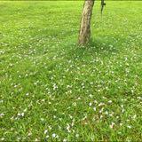 (Category: ) located in . Submitted by anyhseow (Listing ID 1384497600, Image 1). Description: .