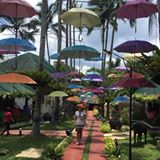 (Category: ) located in . Submitted by koa30 (Listing ID 1385843409, Image 1). Description: .