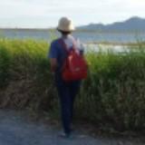 (Category: ) located in . Submitted by ija2105 (Listing ID 1383742432, Image 1). Description: .