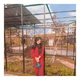 (Kategori: ) berada di . Dikirim oleh irwida.okt (ID iklan 1365598022, Gambar 1). Deskripsi: .