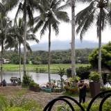 (Category: ) located in . Submitted by movingoutsaleph (Listing ID 1383623090, Image 1). Description: .