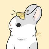 （分類：）位於 。 由 kiki0211 提交（商品編號 1373462132，圖片 1）。簡介： 。