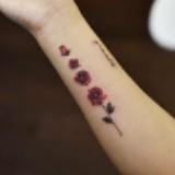 (Category: ) located in . Submitted by bellanitz (Listing ID 1377978944, Image 1). Description: .