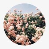 (Category: ) located in . Submitted by swiftie99 (Listing ID 1369672402, Image 1). Description: .