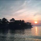 (Category: ) located in . Submitted by flxre (Listing ID 1386159765, Image 1). Description: .