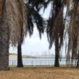 (Category: ) located in . Submitted by dizion (Listing ID 1377834782, Image 1). Description: .