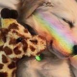 (Category: ) located in . Submitted by flamingosss (Listing ID 1371713925, Image 1). Description: .