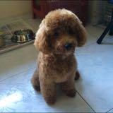 (Category: ) located in . Submitted by jarome (Listing ID 1176556504, Image 1). Description: .