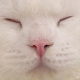 (分類:)位於 。 由 felixtangbb 提交(商品編號 1460069681,圖片 1)。簡介: 。
