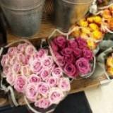 (Category: ) located in . Submitted by julymoh (Listing ID 1315513549, Image 1). Description: .