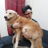 (Category: ) located in . Submitted by johannology (Listing ID 1378985028, Image 1). Description: .