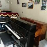 (Kategori: ) berada di . Dikirim oleh yonoprayata17 (ID iklan 1380812562, Gambar 1). Deskripsi: .
