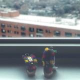 (Category: ) located in . Submitted by marijoaney (Listing ID 1368057108, Image 1). Description: .