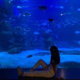 (Category: ) located in . Submitted by janicex_ (Listing ID 1374322962, Image 1). Description: .