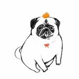 由 pugpun (刊登 ID 247727679，圖片 1) 提交，位於 的 (類別：)，說明：。