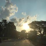 (Category: ) located in . Submitted by JJkoh (Listing ID 1377466185, Image 1). Description: .