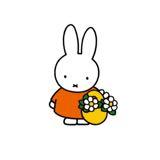 (分類:)位於 。 由 kwanc2019 提交(商品編號 1385286971,圖片 1)。簡介: 。