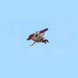 (Category: ) located in . Submitted by dooly. (Listing ID 1376346772, Image 1). Description: .