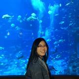(Category: ) located in . Submitted by linji120588 (Listing ID 1454055041, Image 1). Description: .