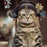 由 s8811282001 (刊登 ID 1322994174，圖片 1) 提交，位於 的 (類別：)，說明：。