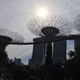 (Category: ) located in . Submitted by sg2016 (Listing ID 1385039301, Image 1). Description: .