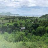 (Category: ) located in . Submitted by opukhova (Listing ID 1377565740, Image 1). Description: .