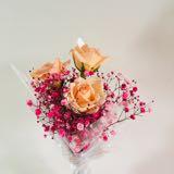 由 pink_ans (刊登 ID 1380782582，圖片 1) 提交，位於 的 (類別：)，說明：。