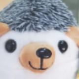 (Category: ) located in . Submitted by jtbees (Listing ID 1339159524, Image 1). Description: .