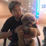 由 piscesboy99 (刊登 ID 1384938967，圖片 1) 提交，位於 的 (類別：)，說明：。
