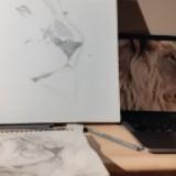 (Category: ) located in . Submitted by lionroars (Listing ID 1348129204, Image 1). Description: .