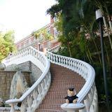 （分類：）位於 。 由 wing_store852 提交（商品編號 1303858919，圖片 1）。簡介： 。