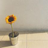(Category: ) located in . Submitted by ameliawong77 (Listing ID 1467324408, Image 1). Description: .