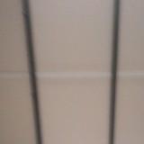 (Category: ) located in . Submitted by rrawrrr (Listing ID 1388933120, Image 1). Description: .