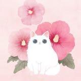 （分類：）位於 。 由 2018jennyshoppingshop 提交（商品編號 1370222335，圖片 1）。簡介： 。