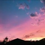 (Category: ) located in . Submitted by opalescentstars (Listing ID 1379472732, Image 1). Description: .