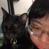 由 ajunnn___ (刊登 ID 1370586860，圖片 1) 提交，位於 的 (類別：)，說明：。