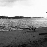 (Category: ) located in . Submitted by ncm0501 (Listing ID 1378417829, Image 1). Description: .