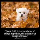 (Category: ) located in . Submitted by godbless75 (Listing ID 1364637757, Image 1). Description: .