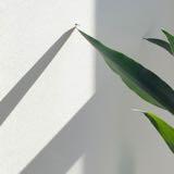 由 tkcody (刊登 ID 1382271800，圖片 1) 提交，位於 的 (類別：)，說明：。
