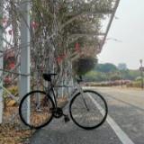 (Category: ) located in . Submitted by cuigoong (Listing ID 1366325351, Image 1). Description: .
