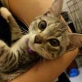 (Category: ) located in . Submitted by noellec1225 (Listing ID 1380255792, Image 1). Description: .