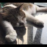 （分類：）位於 。 由 siufat32 提交（商品編號 1384330949，圖片 1）。簡介： 。
