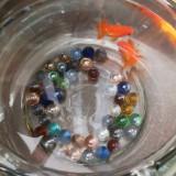 (Category: ) located in . Submitted by _04jy04_ (Listing ID 1378227652, Image 1). Description: .