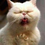 （分類：）位於 。 由 mrs_smart 提交（商品編號 1261331738，圖片 1）。簡介： 。