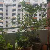 (Category: ) located in . Submitted by Micky01234 (Listing ID 1383864731, Image 1). Description: .
