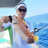 （分類：）位於 。 由 pti12586 提交（商品編號 1385373344，圖片 1）。簡介： 。