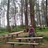 (Kategori: ) berada di . Dikirim oleh wsurarinaldi (ID iklan 1351505740, Gambar 1). Deskripsi: .
