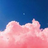 由 rolaaa (刊登 ID 1368312624，圖片 1) 提交，位於 的 (類別：)，說明：。